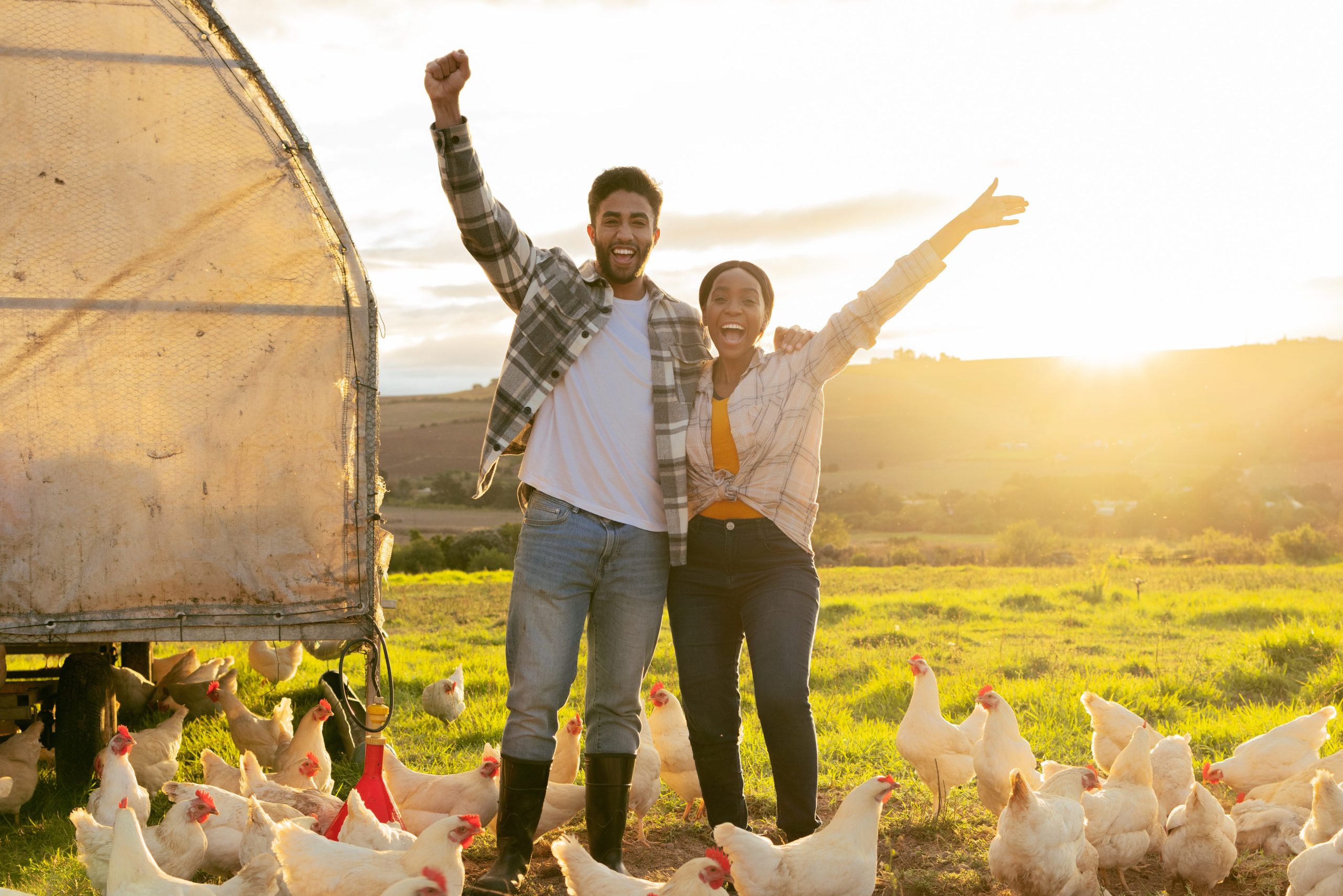 Excited, success and couple on a farm with chicken for sustainability, agriculture and small business in nature. Happy, eco friendly and portrait of a man and woman with animals in countryside