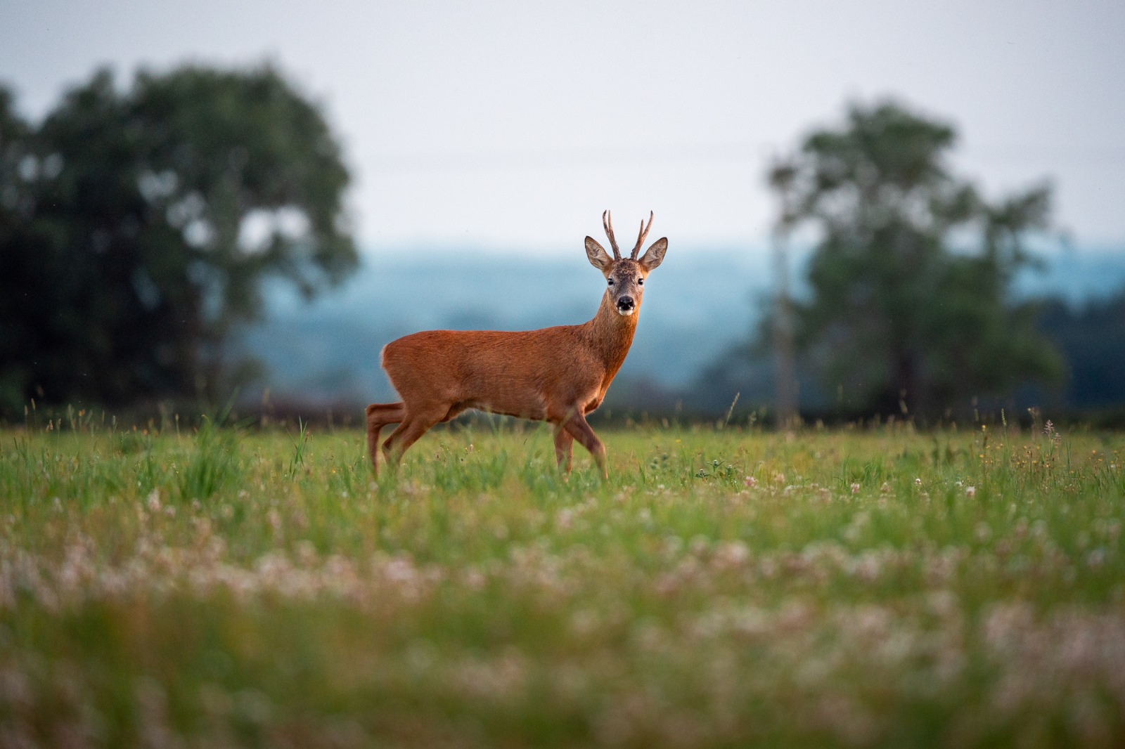 Upper Marsh Farm 📍 Wiltshire, EnglandGet growing with a big garden plot on a Wiltshire farm in a regen transition