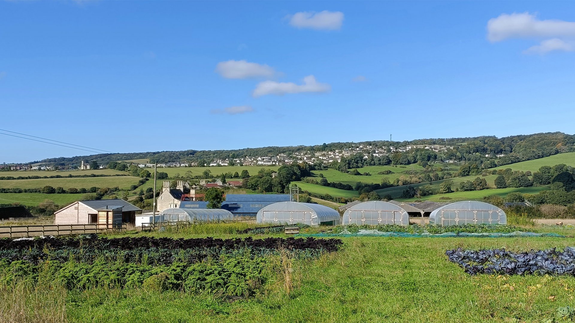 Good Small Farms 📍 Gloucestershire, EnglandBecome the food product partner on a thriving regen farm in the Cotswolds