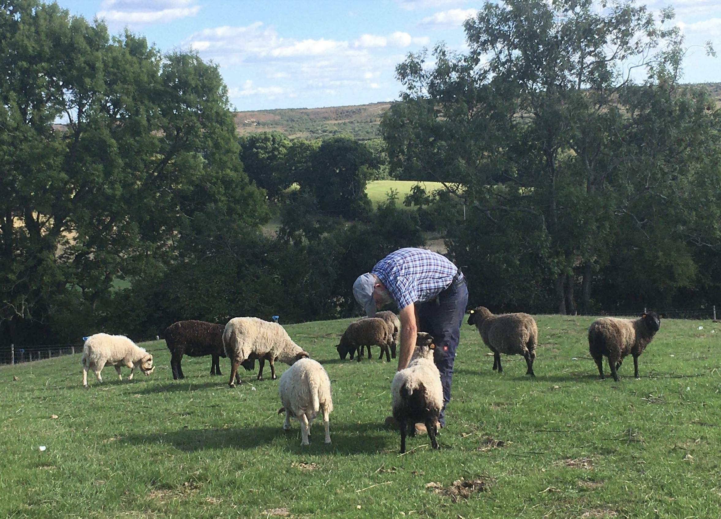 St. Giles Farm 📍 Hampshire, EnglandGrow natural food for social good on a beautiful farm in the New Forest
