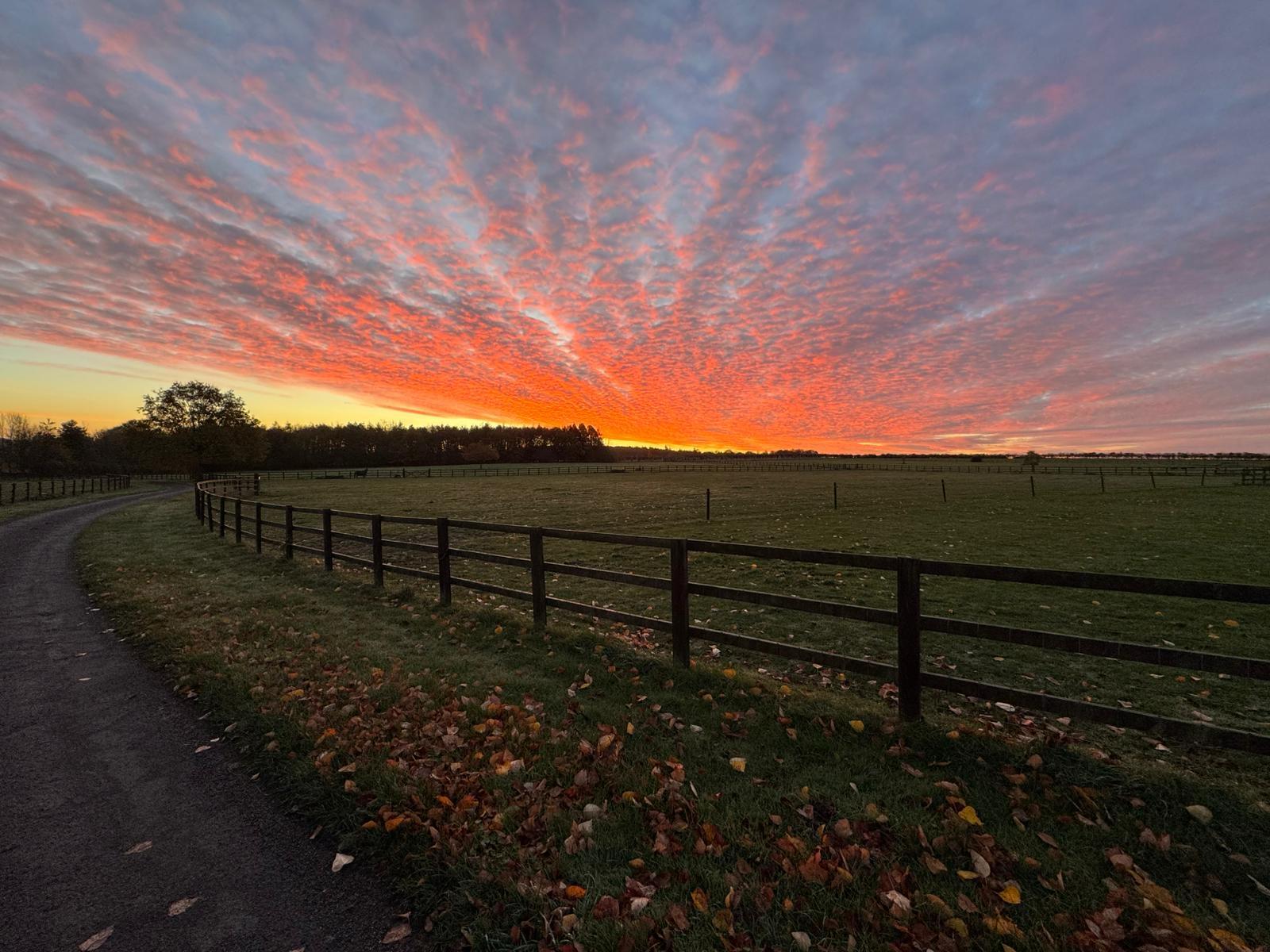 Litchfield Farm 📍 Oxfordshire, EnglandRun a Market Garden on an Organic Family Farm in the Cotswolds open to ideas