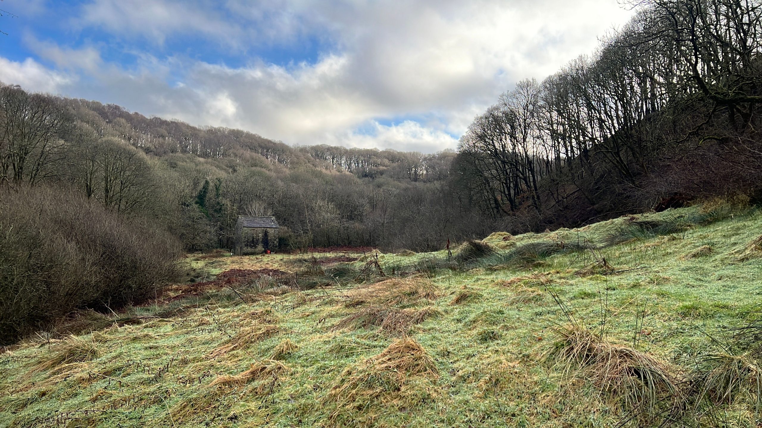 Backsbottom Farm 📍 Lancashire, EnglandSteward a rare organic landscape in the Forest of Bowland — and help write its next chapter
